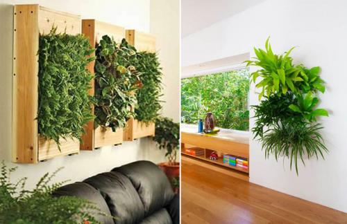 10 отличных идей для украшения стен квартиры растениями. 