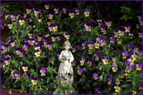 Теневыносливые растения для сада. Список тенелюбивых цветов и растений (21 фото), особенности ухода. Примеры посадки