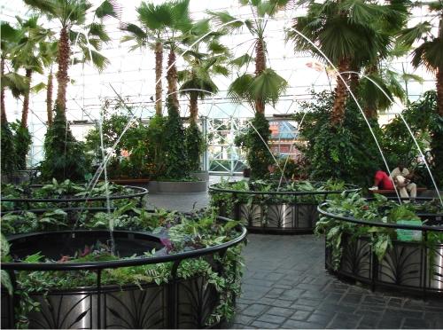 Тропические растения и другие виды в зимнем саду. Стили зимних садов и советы по оформлению 09 Тропические растения и другие виды в зимнем саду. Стили зимних садов и советы по оформлению 09