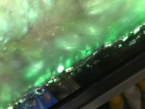 Черный налет на искусственных растениях в аквариуме. #1 Faeton