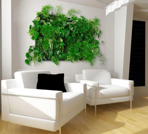 Вертикальное озеленение в квартире. Выбор растений для вертикального озеленения квартиры