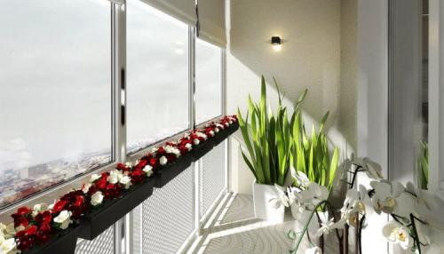 Растения для балкона зимой. Солнечный свет и искусственное освещение