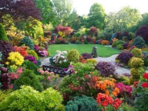 Готовая схема роскошного белого цветника. Схемы круглых клумб из многолетников 36