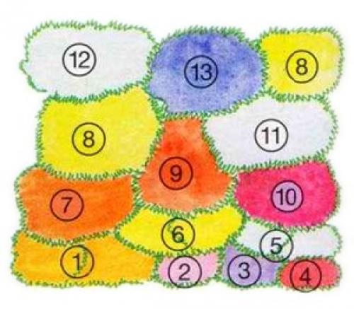 Клумба на солнечном месте схемы. Пронзительная симфония красок: потрясающий этюд из многолетников для солнечных мест