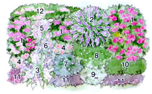 Клумба на солнечном месте схемы. Пронзительная симфония красок: потрясающий этюд из многолетников для солнечных мест