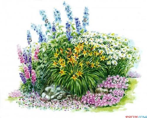 Клумба на солнечном месте схемы. Пронзительная симфония красок: потрясающий этюд из многолетников для солнечных мест