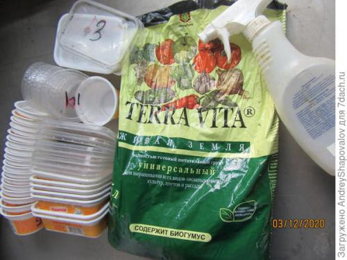 Петуния ампельная. Ампельные петунии-2021. От посева до черенкования