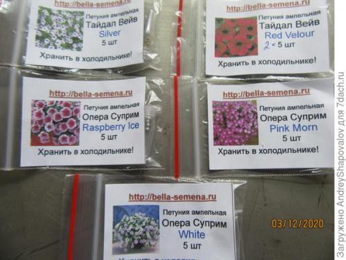 Петуния ампельная. Ампельные петунии-2021. От посева до черенкования