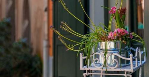 Подвесные цветы. Подвесные кашпо для цветов дополняем красоту сада заканчивая своим балконом