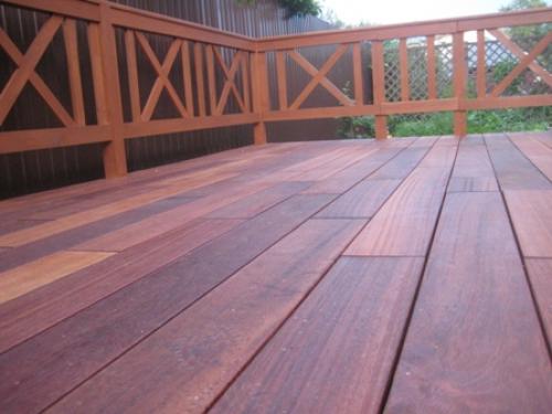 Вьющиеся растения для балкона. Вьющиеся растения на открытом балконе