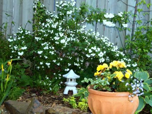 Теневыносливые садовые декоративные растения. Рекомендации 03 Теневыносливые садовые декоративные растения. Рекомендации 03