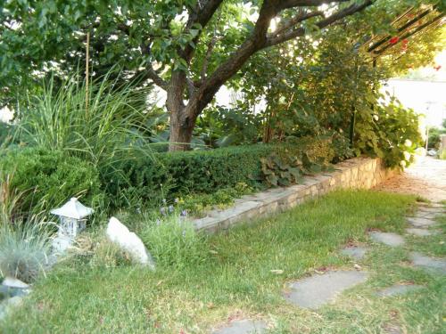 Теневыносливые садовые декоративные растения. Рекомендации 06 Теневыносливые садовые декоративные растения. Рекомендации 06