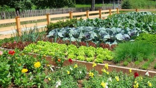 Дизайн сада и огорода в частном доме. Дизайн огорода своими руками: 100 фото 13 Дизайн сада и огорода в частном доме. Дизайн огорода своими руками: 100 фото 13