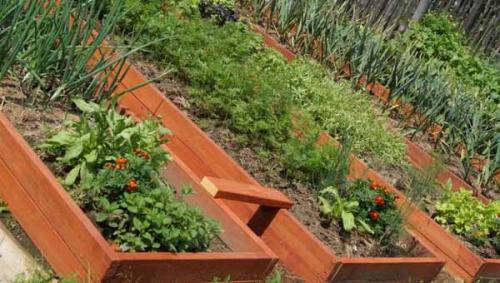 Дизайн сада и огорода в частном доме. Дизайн огорода своими руками: 100 фото 12 Дизайн сада и огорода в частном доме. Дизайн огорода своими руками: 100 фото 12