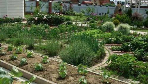 Дизайн сада и огорода в частном доме. Дизайн огорода своими руками: 100 фото 05 Дизайн сада и огорода в частном доме. Дизайн огорода своими руками: 100 фото 05