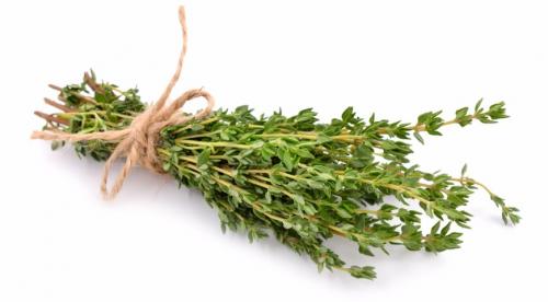 Какие пряные травы можно вырастить на огороде. Добавление статьи в новую подборку 13