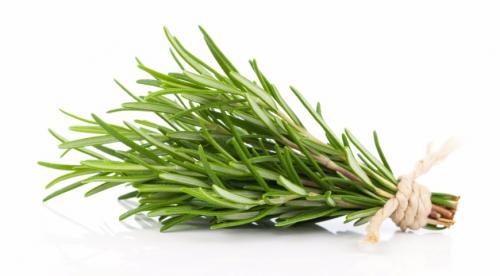 Какие пряные травы можно вырастить на огороде. Добавление статьи в новую подборку 09