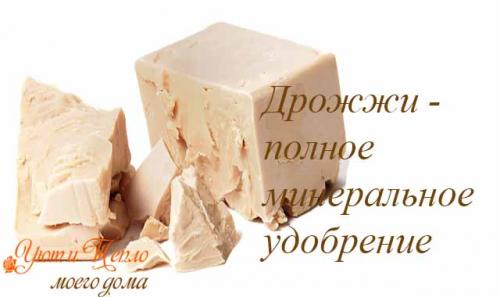 Как удобрять комнатные растения. Подкормка комнатных цветов домашними средствами