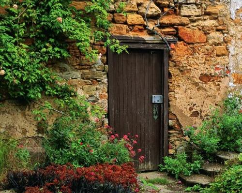 Естественный сад. Яркий калейдоскоп: как создать цветочный сад в природном стиле