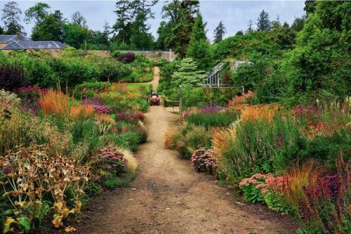 Естественный сад. Яркий калейдоскоп: как создать цветочный сад в природном стиле