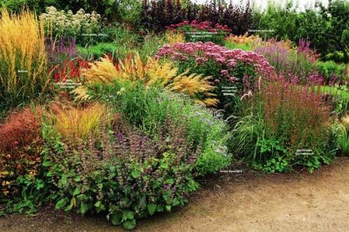 Естественный сад. Яркий калейдоскоп: как создать цветочный сад в природном стиле