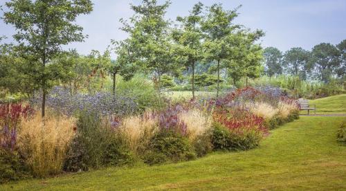 Сад в природном стиле. Природный сад: особенности и плюсы пейзажного стиля 02