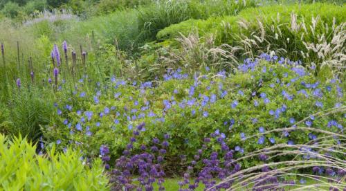 Сад в природном стиле. Природный сад: особенности и плюсы пейзажного стиля 01