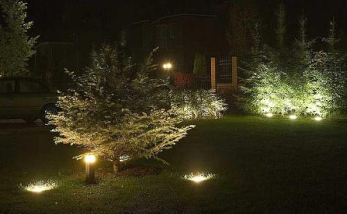 Сад и огород не, как у всех. Еще несколько идей для сада зимой