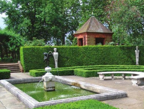 Растения в аптекарском огороде. Аптекарский сад и огород