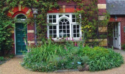 Растения в аптекарском огороде. Аптекарский сад и огород