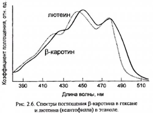 Влияние света на растение. Поглощение света растениями и фотосинтез