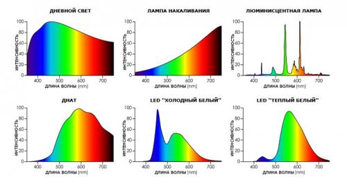Влияние света на растение. Поглощение света растениями и фотосинтез