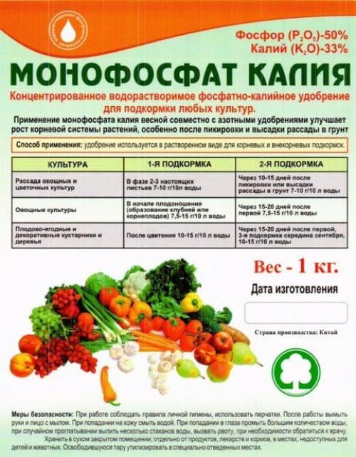 Посев петунии супер способ. Посев петунии — 100% результат