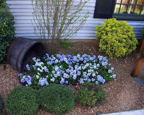 Идея для дома и сада. Более 190 самых лучших идей для сада своими руками 17 Идея для дома и сада. Более 190 самых лучших идей для сада своими руками 17