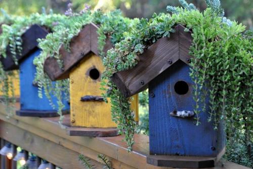 Идеи для сада своими руками. 90 идей украшений для сада своими руками (фото)