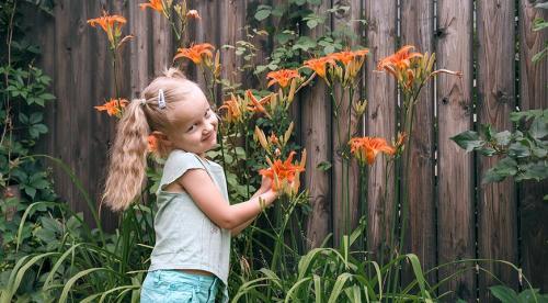 Что посадить вдоль забора. Преимущества посадки растений у забора 02 Что посадить вдоль забора. Преимущества посадки растений у забора 02