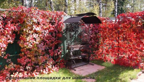 Что посадить вдоль забора. Преимущества посадки растений у забора 01 Что посадить вдоль забора. Преимущества посадки растений у забора 01