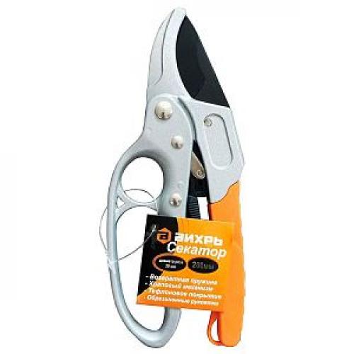 Оформление забора растениями. Какое растение выбрать для озеленения забора