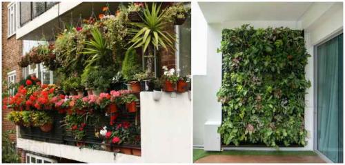 Цветочные композиции в кашпо и балконных ящиках. Клумба на балконе: как создать цветущий мини-сад 
