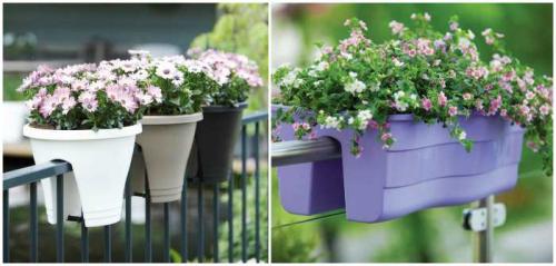 Цветочные композиции в кашпо и балконных ящиках. Клумба на балконе: как создать цветущий мини-сад 