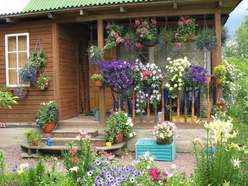 15 растений для ПОДВЕШИВАНИЯ в кашпо. Специфика ухода за висячими клумбами