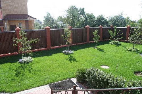 Что посадить вдоль забора из профнастила. Какие деревья посадить у забора