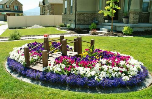 Клумба из многолетников цветущая все лето. Клумбы из многолетников: правила и особенности выращивания для новичков (85 фото)