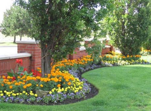 Клумбы из многолетников своими руками 11