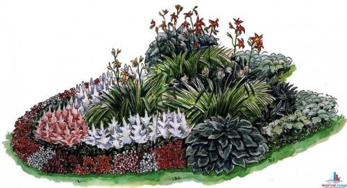 Какие цветы посадить, чтобы цвели с весны до осени. Клумбы, цветущие с ранней весны до поздней осени в закладки 92