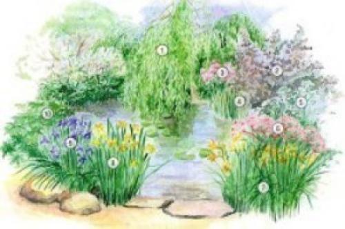 Какие цветы посадить, чтобы цвели с весны до осени. Клумбы, цветущие с ранней весны до поздней осени в закладки 92