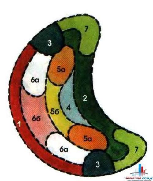 Какие цветы посадить, чтобы цвели с весны до осени. Клумбы, цветущие с ранней весны до поздней осени в закладки 92