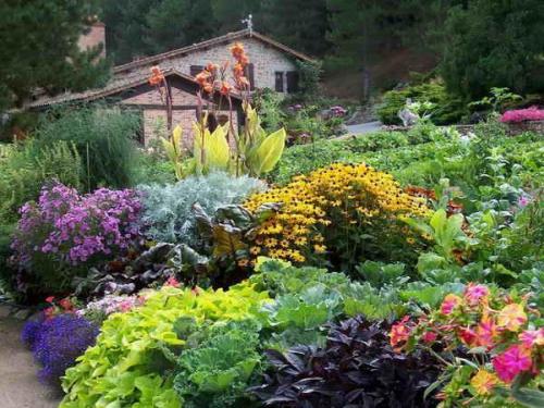 Какие цветы посадить, чтобы цвели с весны до осени. Клумбы, цветущие с ранней весны до поздней осени в закладки 92