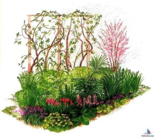 Какие цветы посадить, чтобы цвели с весны до осени. Клумбы, цветущие с ранней весны до поздней осени в закладки 92