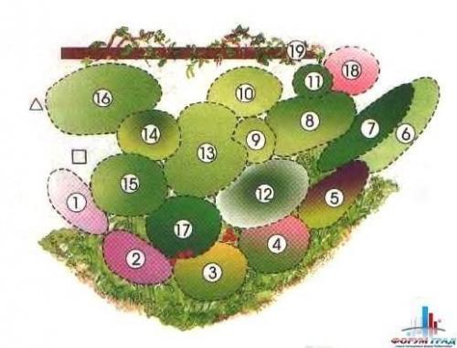 Какие цветы посадить, чтобы цвели с весны до осени. Клумбы, цветущие с ранней весны до поздней осени в закладки 92